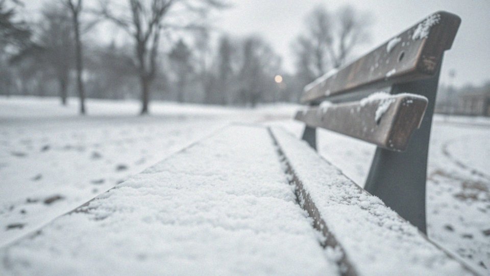 Jak temperatura wpływa na samopoczucie psa?