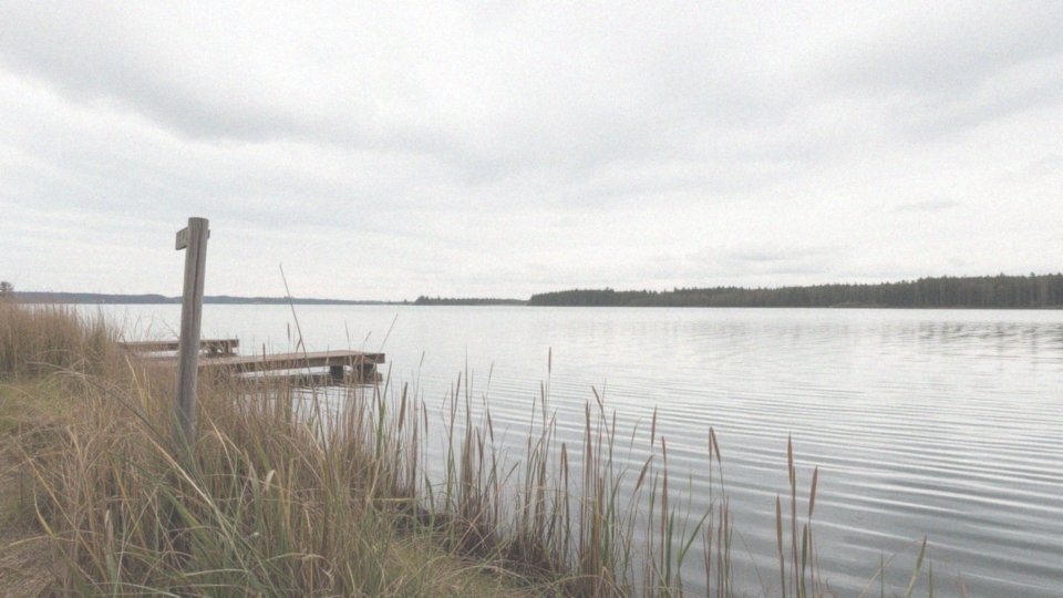 Co to jest Łowisko Ebi Lake i jakie ma zasady?