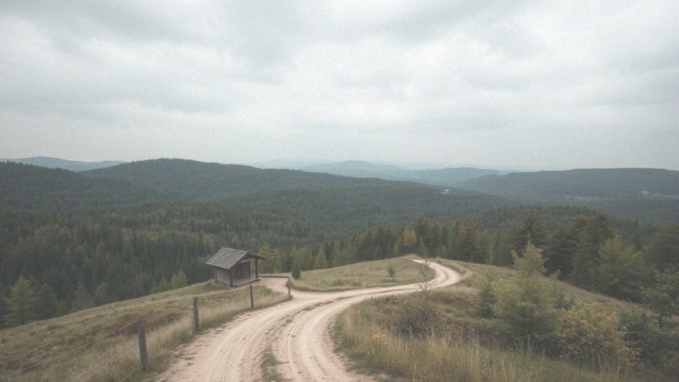Kto jest zwolniony z płacenia podatku od nieruchomości?